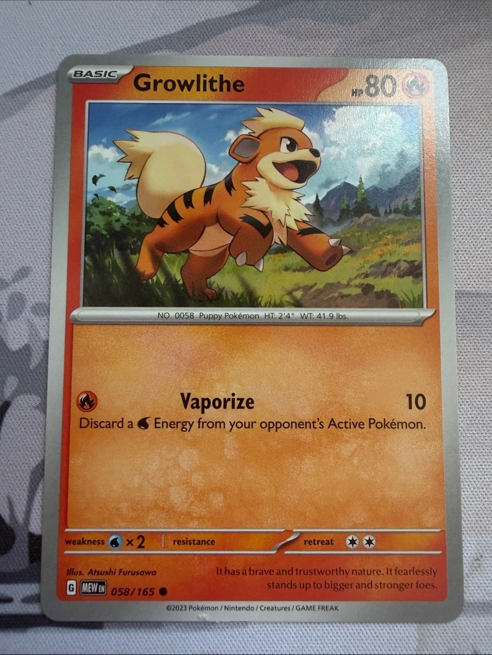 Growlithe Character Lot | 6 Pokémon Cards | ✨5/$25✨